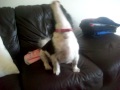minnie ; )