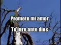 Yo te voy amar Yo te voy amar