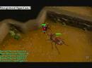 Runescape cockroach trip about 30k loot not much