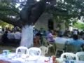 Panigiri Krya Brysh Taygetos