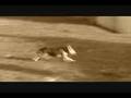  - MovieZen Video