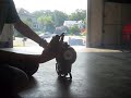 Craftsman String Trimmer motor rebuilt