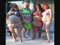 Fat Bitches