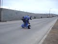 algo bien raptor 350 wheelee gomeroz