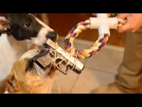 how to prove llc ownership