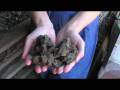 videos de Farmer Automatic Biomass-Technology gewinnt den Sonderpreis 