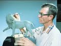 Henry Wichers Inchumuk Lifetime Award