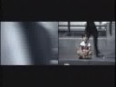 Reclame - 1 bloco Cannes Lions 2008 Especial