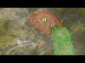 Enemy Territory: Quake Wars \