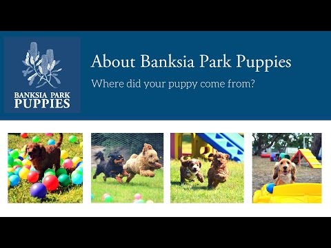 banksia park daymap banksia park daymap