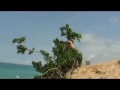 Insane Front Flip