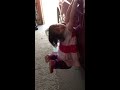 I uploaded a @YouTube video http://t.co/ujhS3m0M Abby hanging around