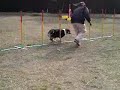 ペレ