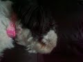 minnie ; )