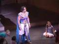 Dave Toole and the Amazing Technicolor Dreamcoat