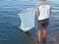 DORADA RAUL ESPIGON SURFCASTING ORATA