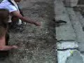 Pájaro en Visovac