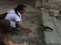 Pájaro en Visovac