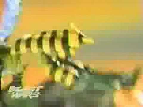 beast wars