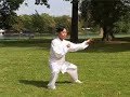 Wang Lin, Chen Taijiquan, 40 forms Wang Lin, Chen Taijiquan, 40 forms