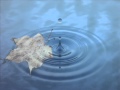  Sitting With Breath - A Guided Meditation with Lori Granger