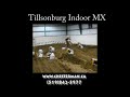 Tillsonburg Indoor Motocross Tillsonburg Indoor Motocross