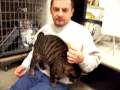 videos de Greyson available at Noah's Kingdom Humane Society