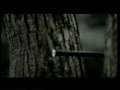 WildAid PSA - Zhan Xugang: Tiger