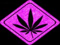 The time is 420 - free flv video @ vwatch.tv