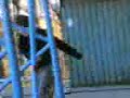 Jimmy in skate