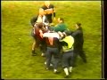 Crazy Fight