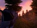 A Paladin's Tale