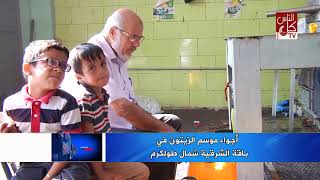 اجواء موسم الزيتون في باقة الشرقية شمال طولكرم