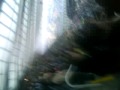 Newcastle Vs Watford