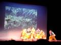 UChicago Raas Dhandia Dhamaka 2009