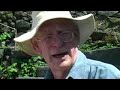 Story Of Pico Azores Whale Museum