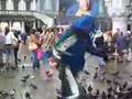 videos de The attack of the Killer Pigeons from Venecia