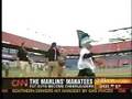 Florida Marlins Manatees