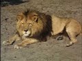 n�hled 2