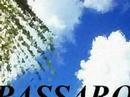 ????????? ms-39 ????????? ms-39