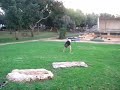 ??? ??? ?? ????????? ??????? ???? winter sampler hadera ??? ??? ?? ????????? ??????? ???? winter sampler hadera