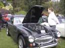 Austin Healeys at All British Field Meet
