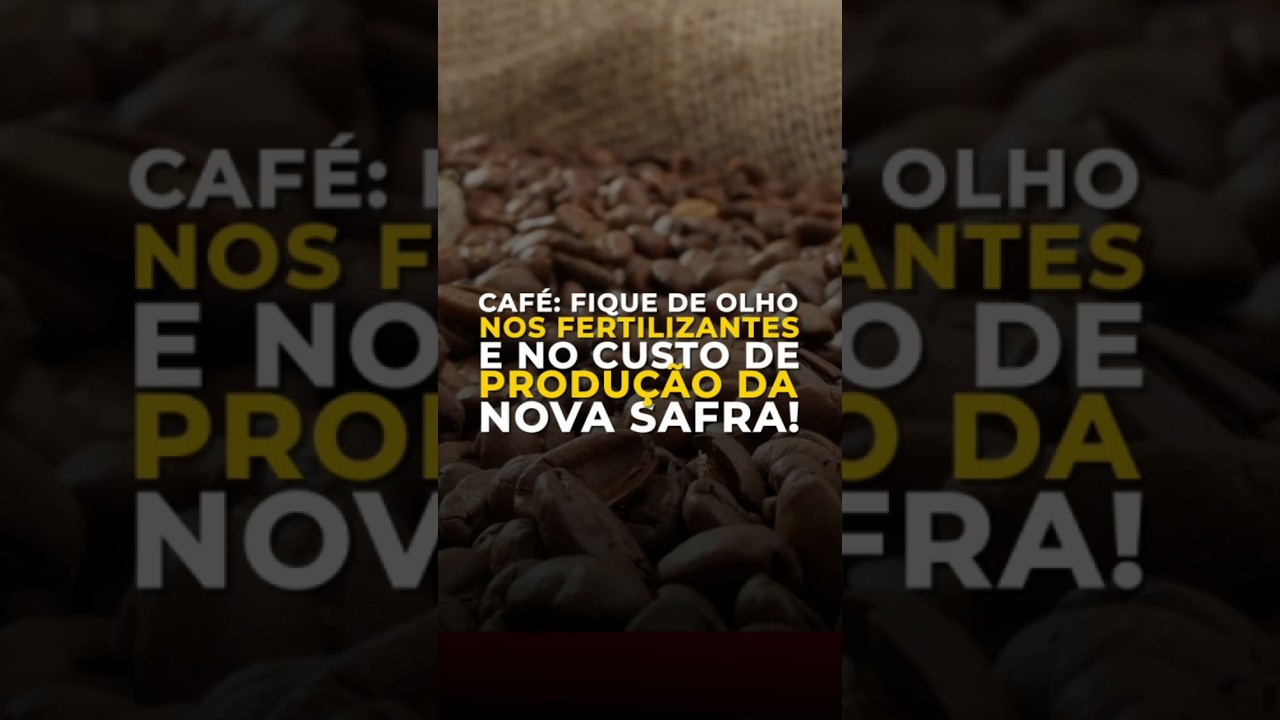 CAFÉ: FIQUE DE OLHO NOS FERTILIZANTES E NO CUSTO DE PRODUÇÃO DA NOVA SAFRA!