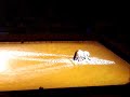 Vier Jahreszeiten Vier Jahreszeiten