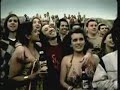 schneider beer