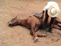 Guatemala-Guazacapan 6