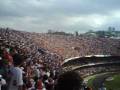 videos de Torcida do Fluminense - 30/11/08 - SPFC 1x1 FLU