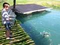 Trout Farm