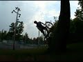 Tree Ride