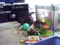 Arianna and the turtle